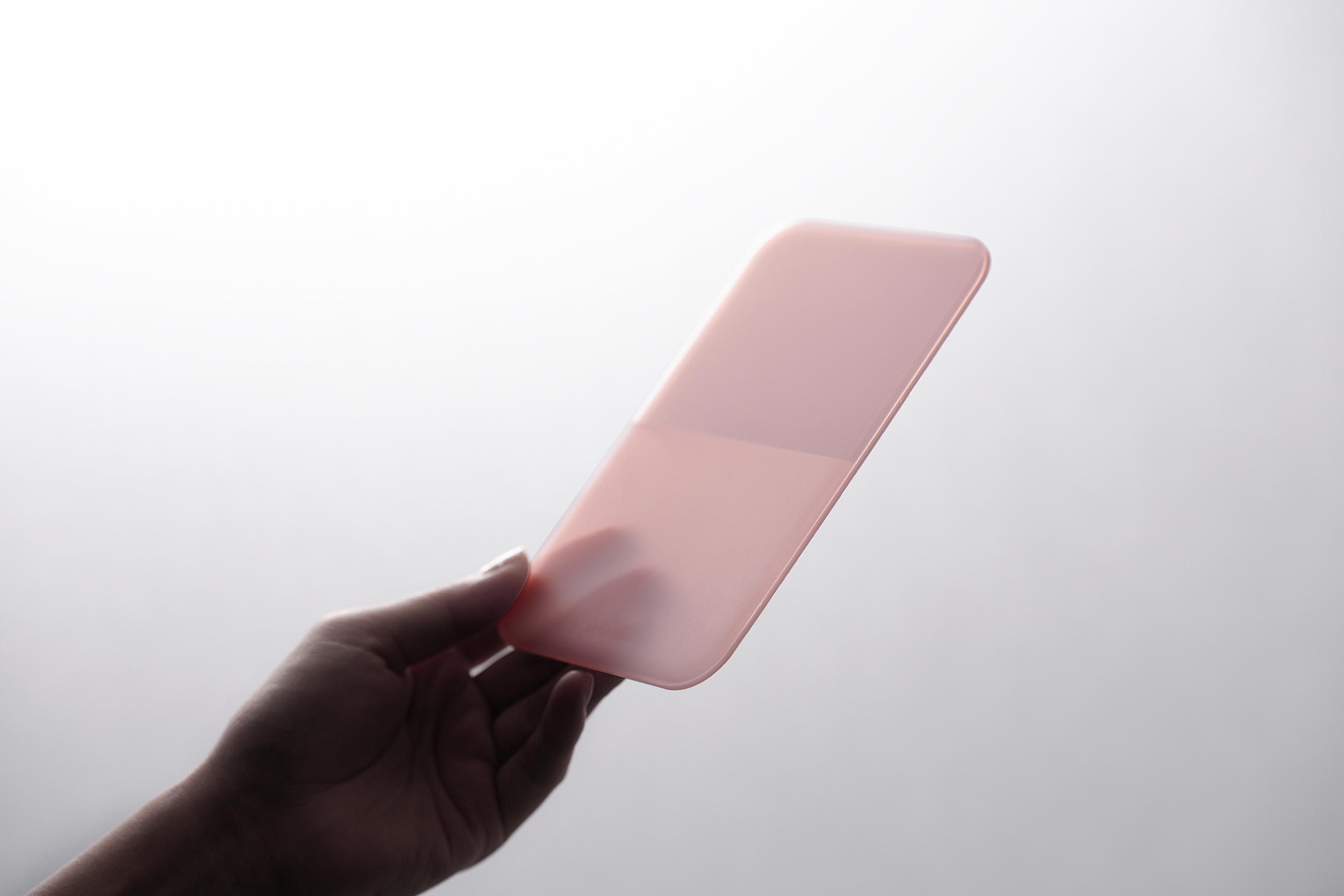 BIG PLATE MOLD