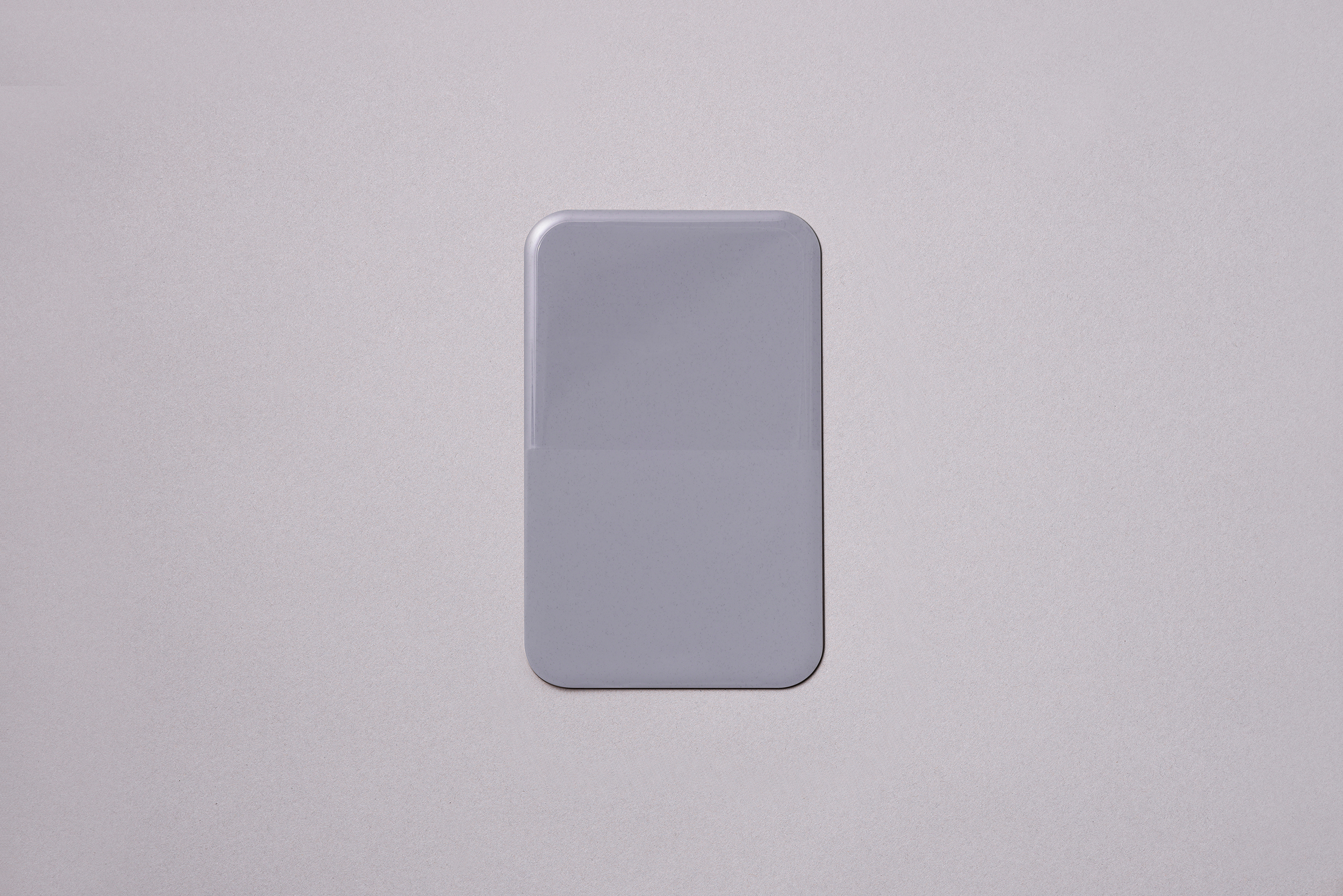 BIG PLATE MOLD