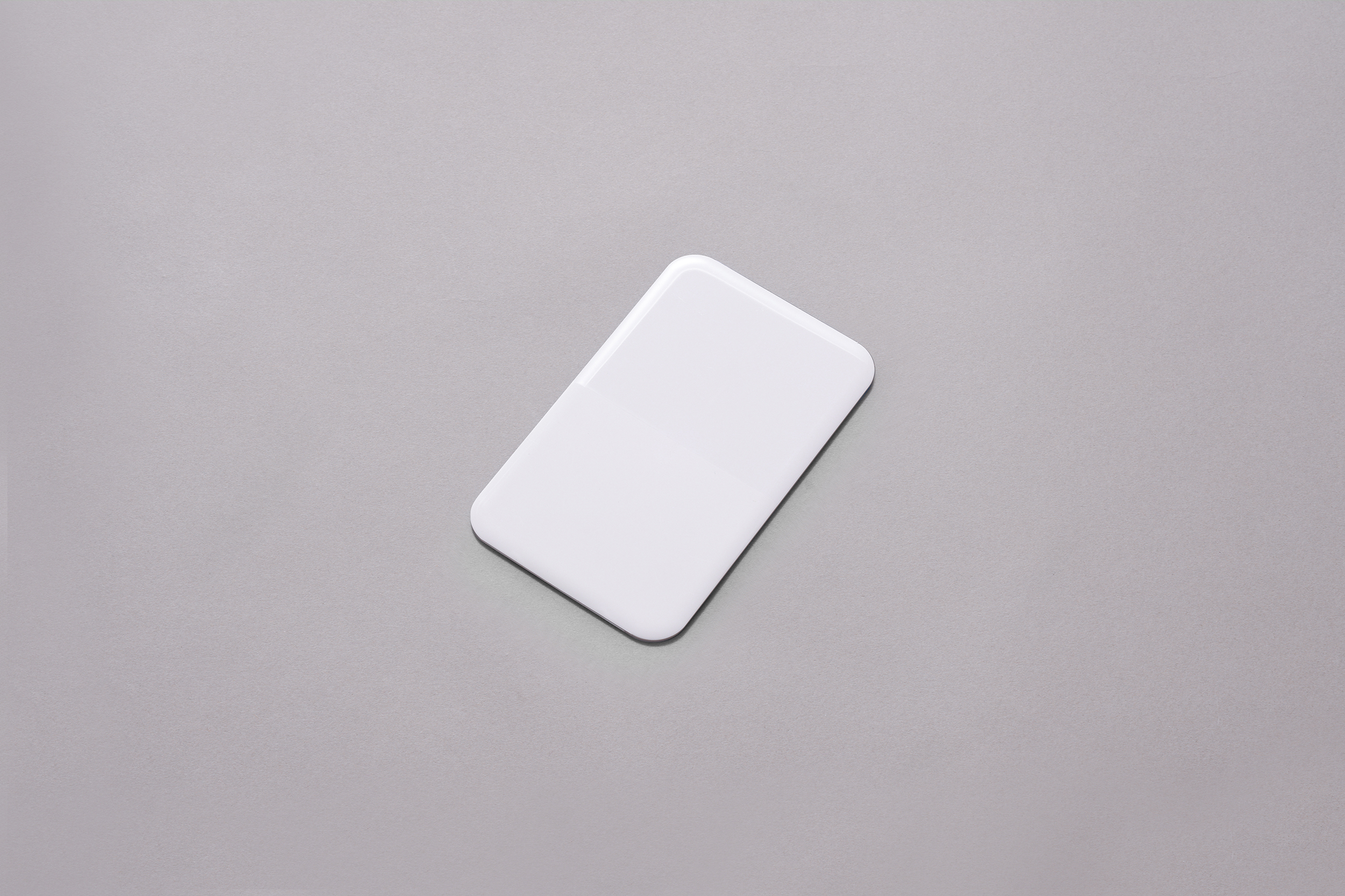 BIG PLATE MOLD